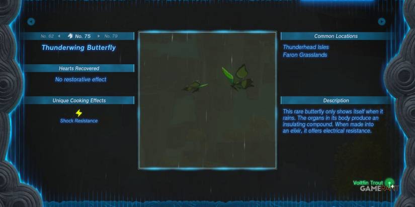 loz totk thunderwing butterfly hyrule compendium