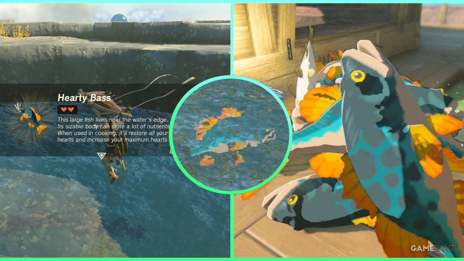 hearty bass legend of zelda tears of the kingdom