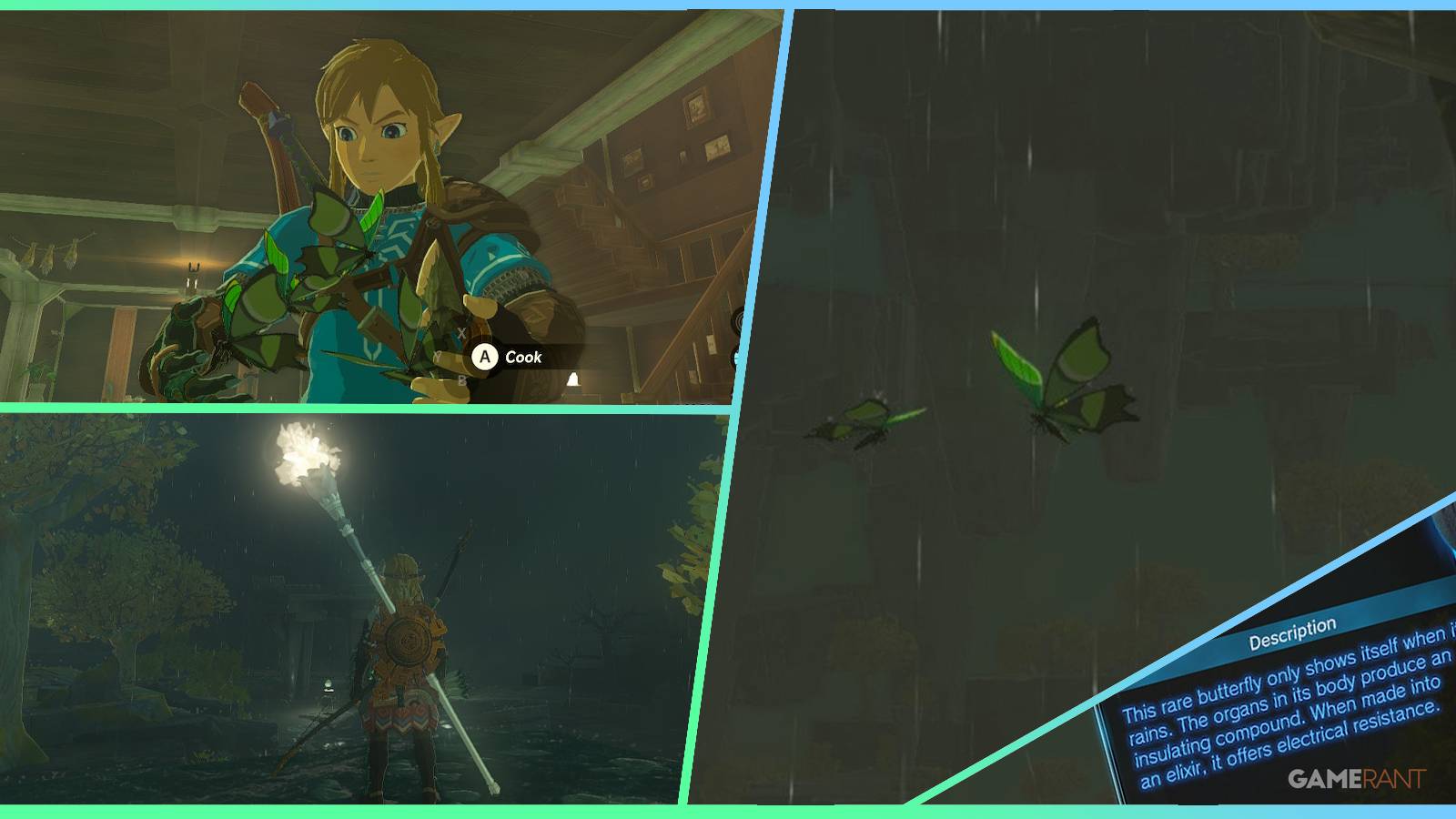 loz totk thunderwing butterfly feature