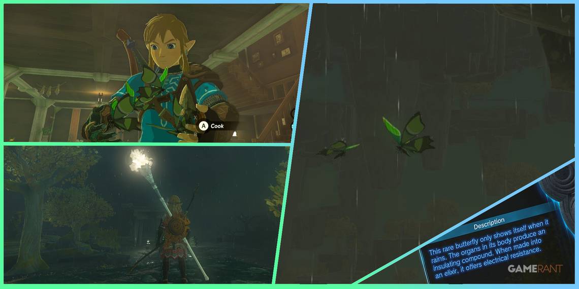 Zelda: Tears of the Kingdom: dónde conseguir Mariposas Alashadas