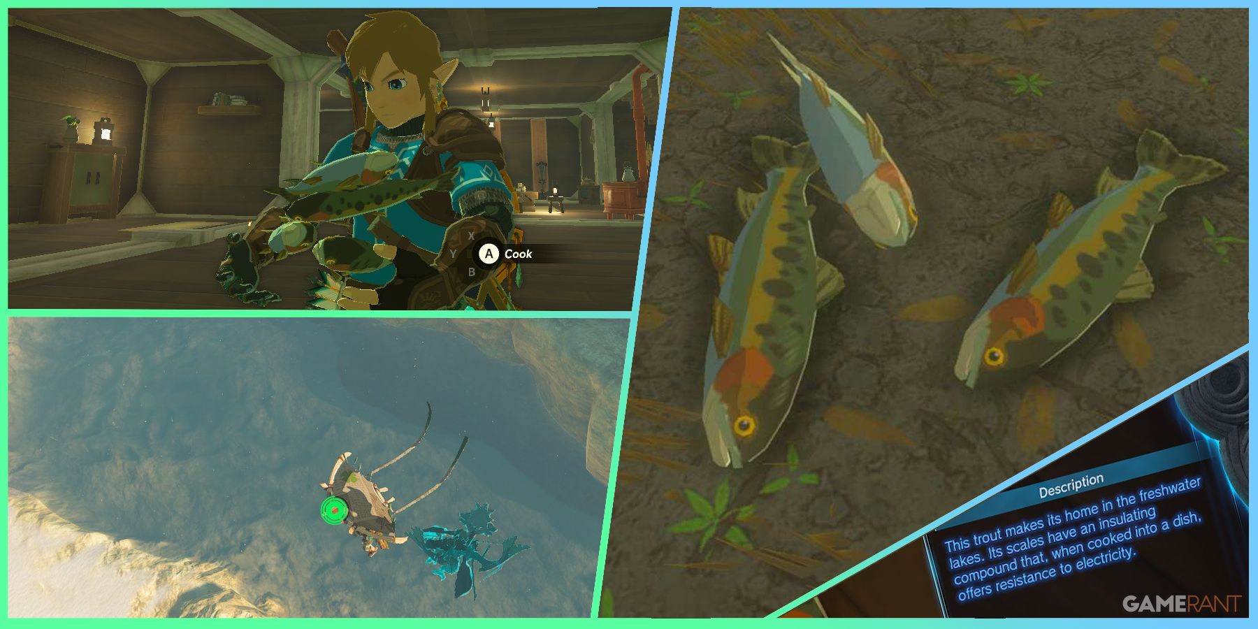 Zelda: Tears of the Kingdom – Where to Farm Voltfin Trout