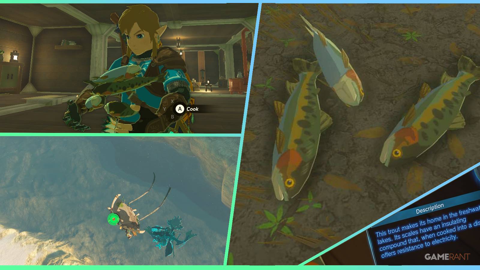 loz totk voltfin trout feature