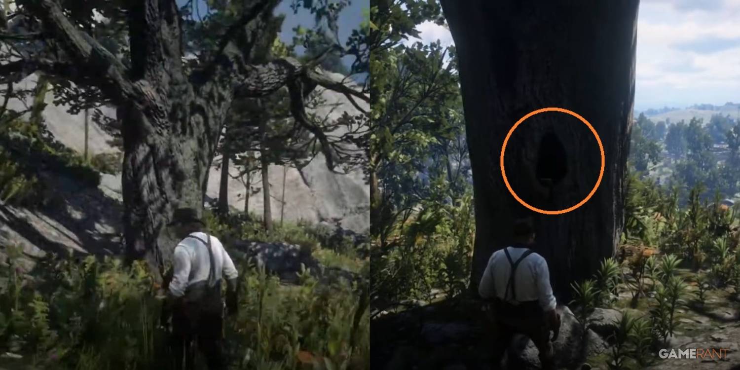 red dead redemption 2 chick s treasure final location.jpg?q=50&fit=crop&w=1500&dpr=1