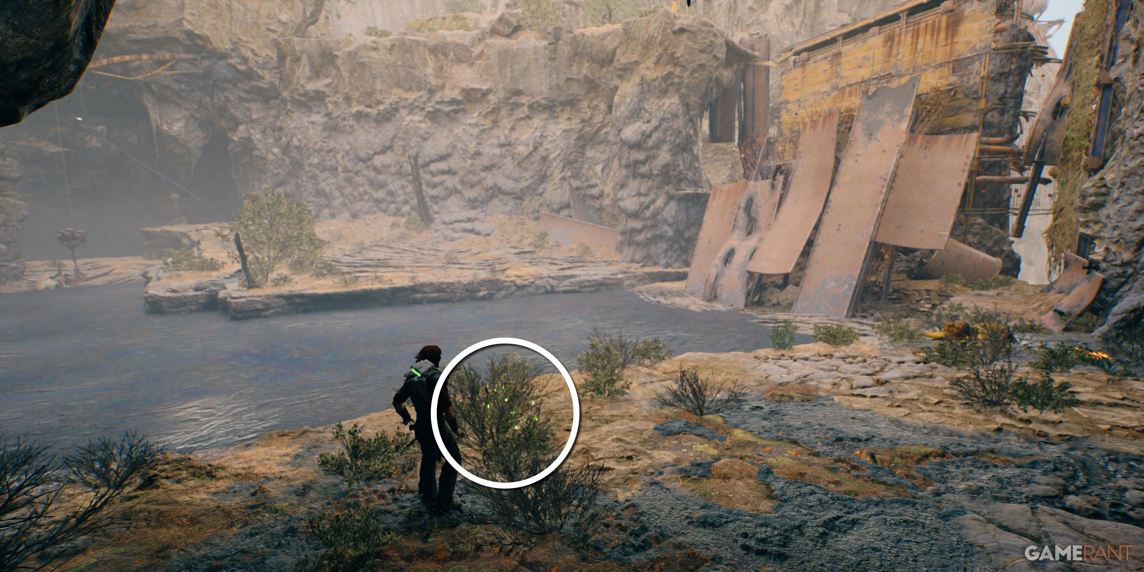 Star Wars Jedi Survivor All Koboh Seed Pods Dredger