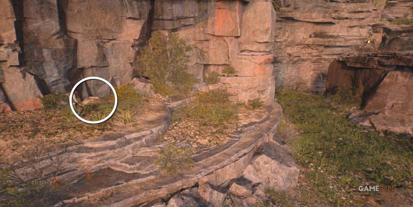 southern reach databank 2