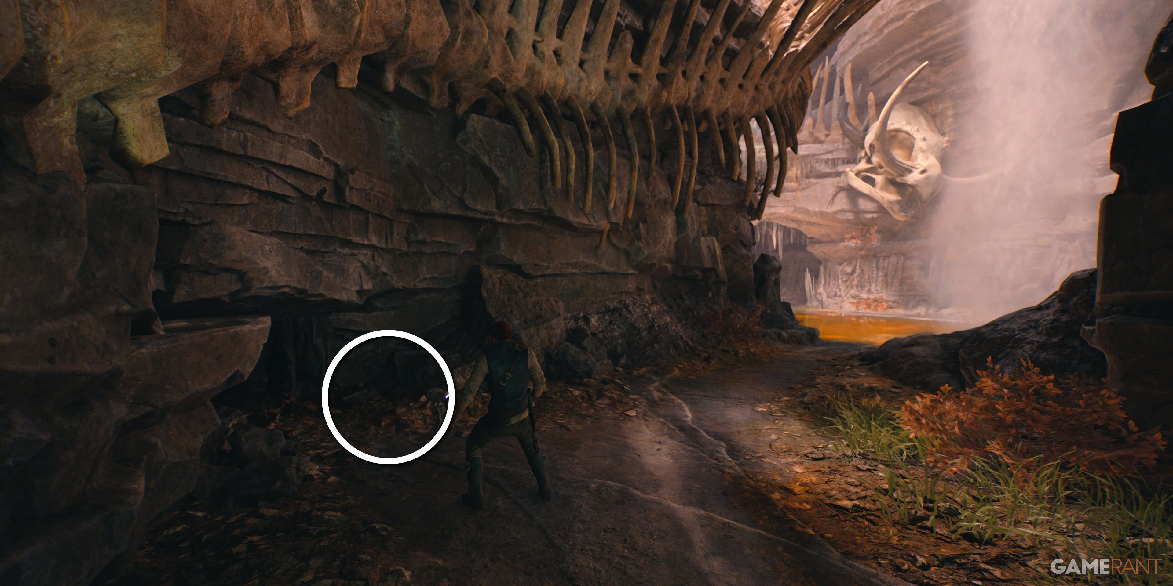 Discover the Koboh Databanks in Star Wars Jedi: Survivor