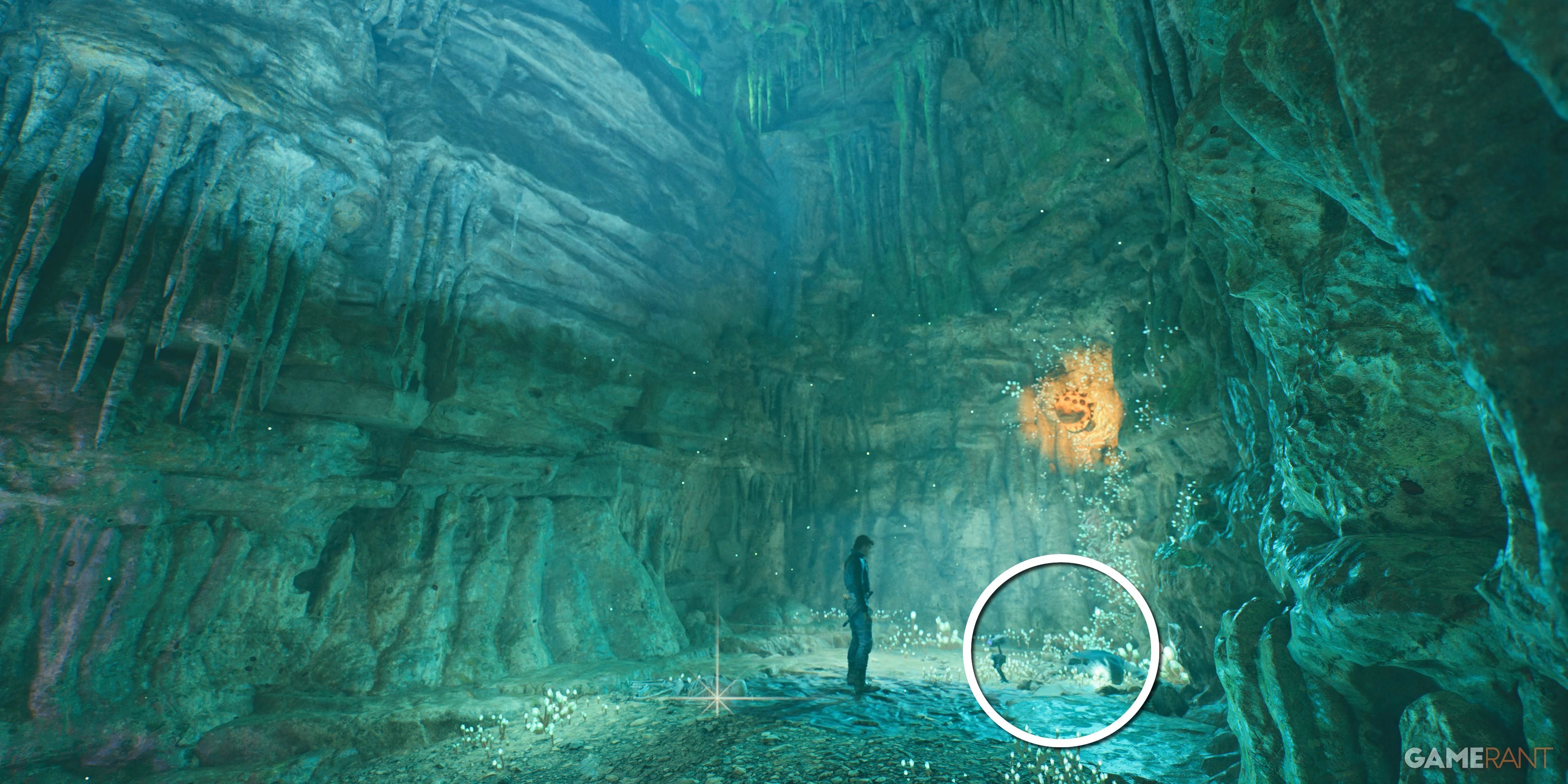 Discover the Koboh Databanks in Star Wars Jedi: Survivor