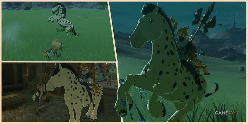 tears of the kingdom legend of zelda spotting spot feature