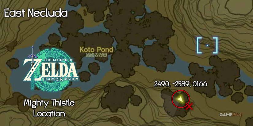 totk-thistle-location-koto-pond