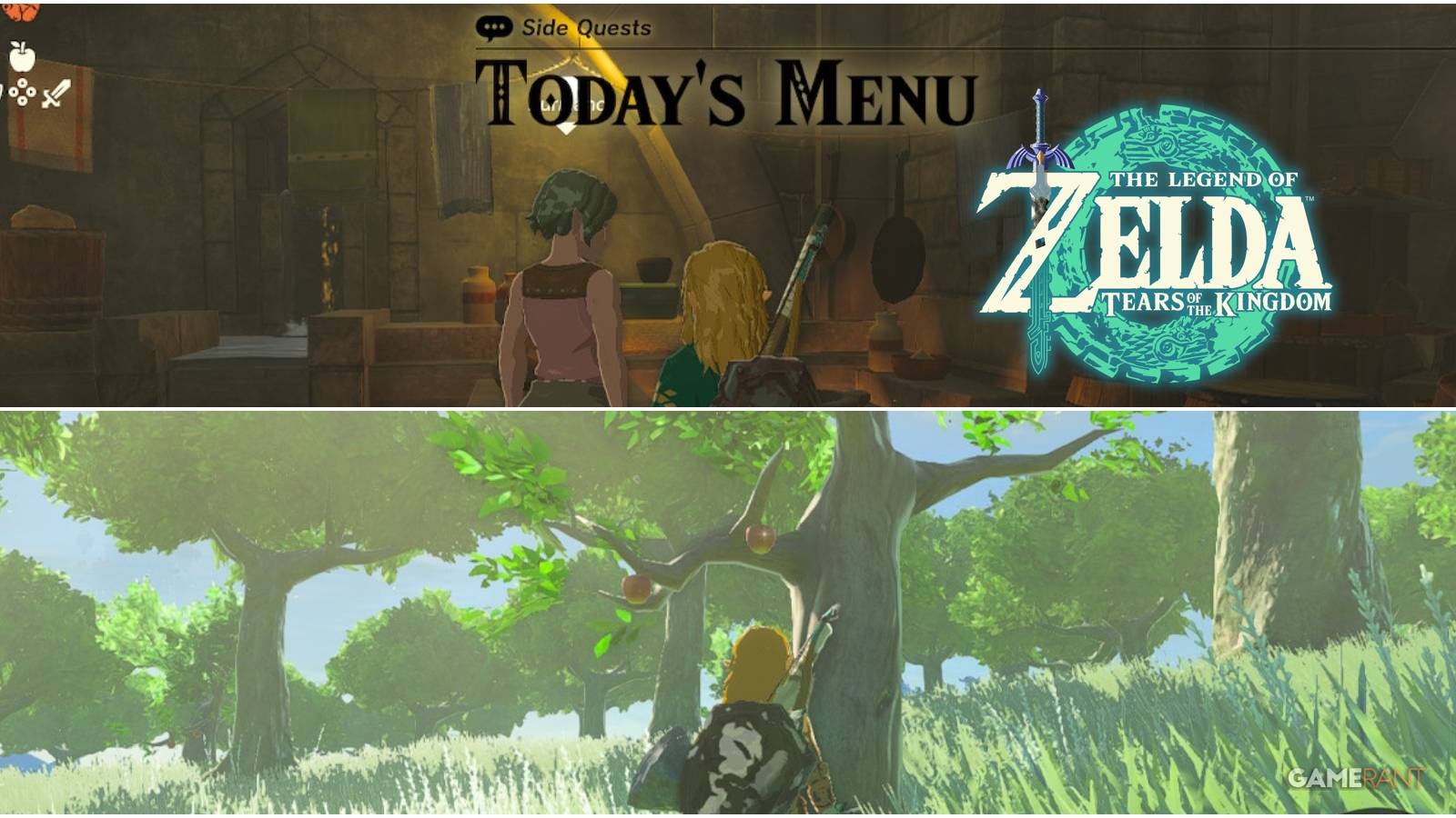 zelda tears of the kingdom apple todays menu side quest