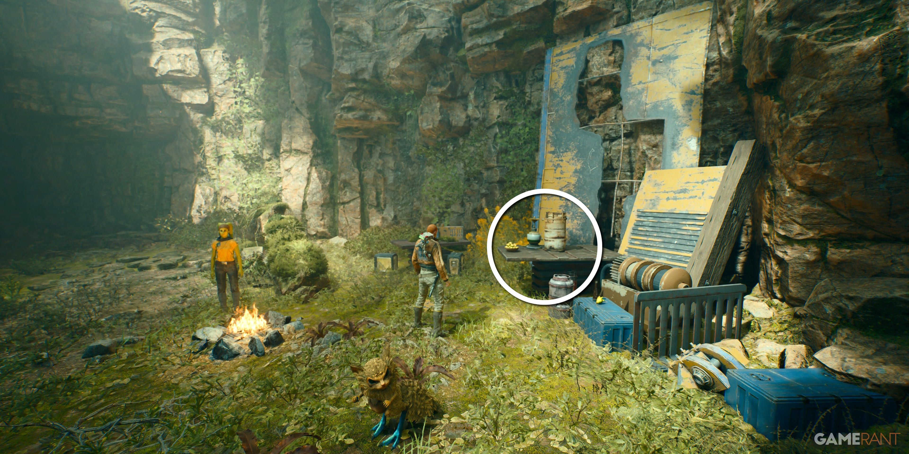Star Wars Jedi: Survivor – All Koboh Databanks: Basalt Forest
