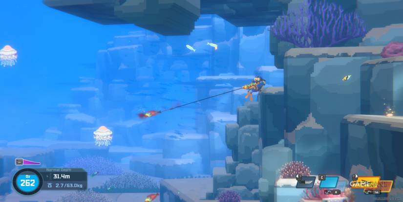 dave the diver fish jellyfish colorful