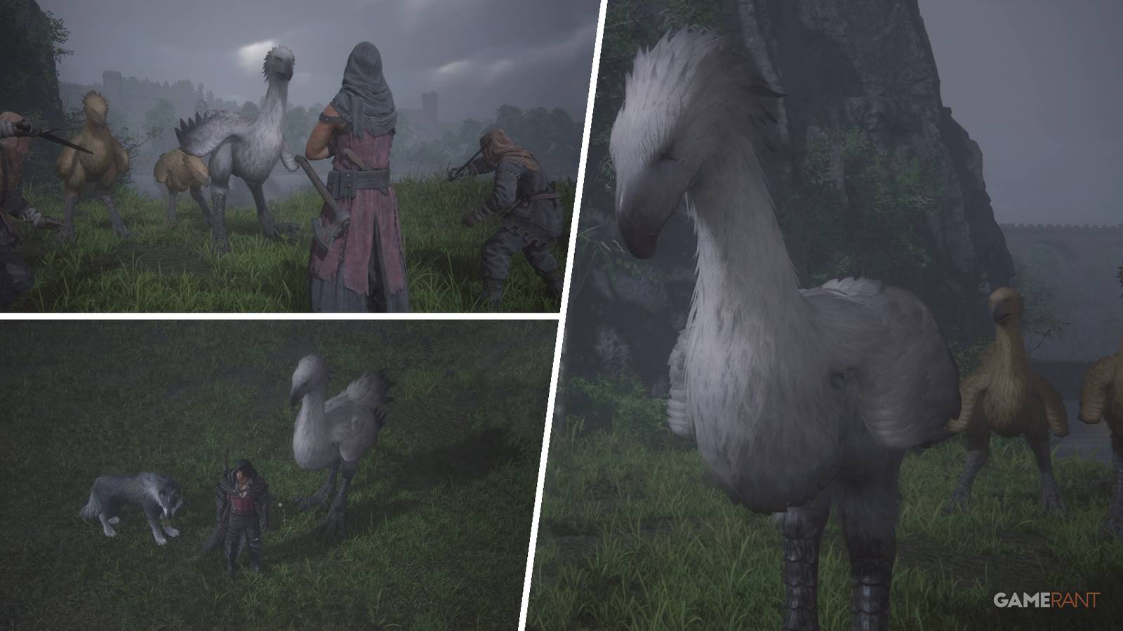 Final Fantasy 16: The White-Winged Wonder Side Quest Guide