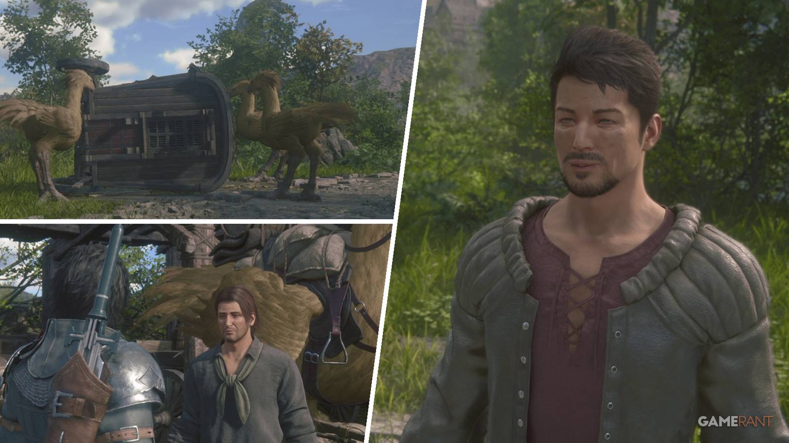 Final Fantasy 16: What a Bird Wants Side Quest Guide