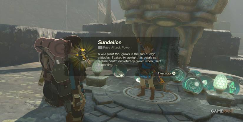 loz totk secrets within side quest reward sundelion