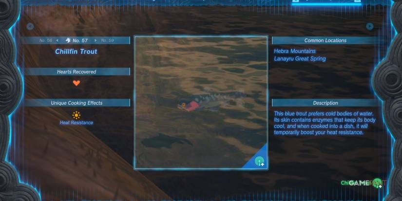 loz totk chillfin trout hyrule compendium