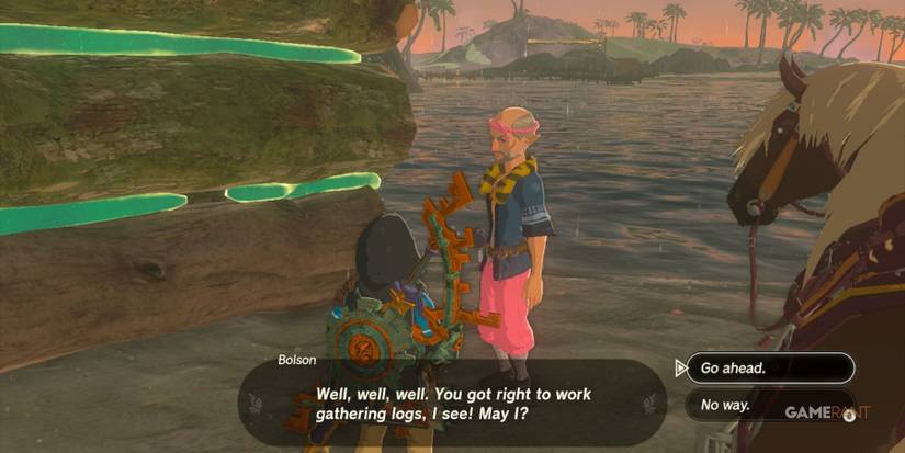 loz totk lurelin village bolson