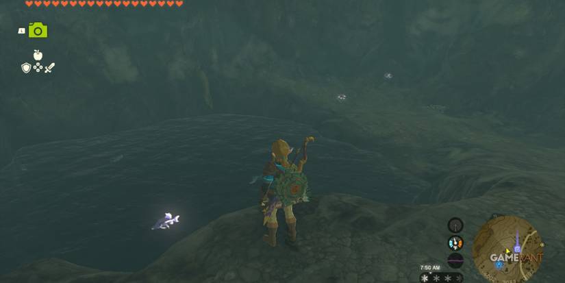 loz totk the white bird's guidance cave