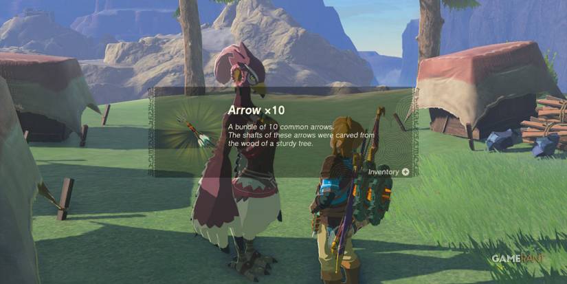 loz totk arrows