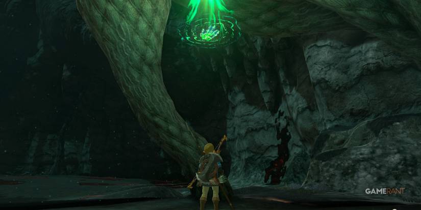 Apapes Light Root Zelda: Tears of the Kingdom - How to Find the Apapes Lightroot