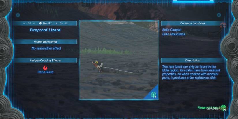 loz totk fireproof lizard hyrule compendium