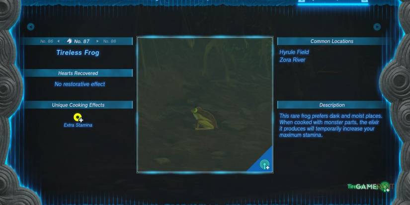 loz totk tireless frog hyrule compendium