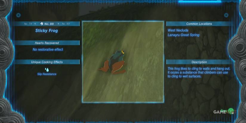 loz totk sticky frog hyrule compendium