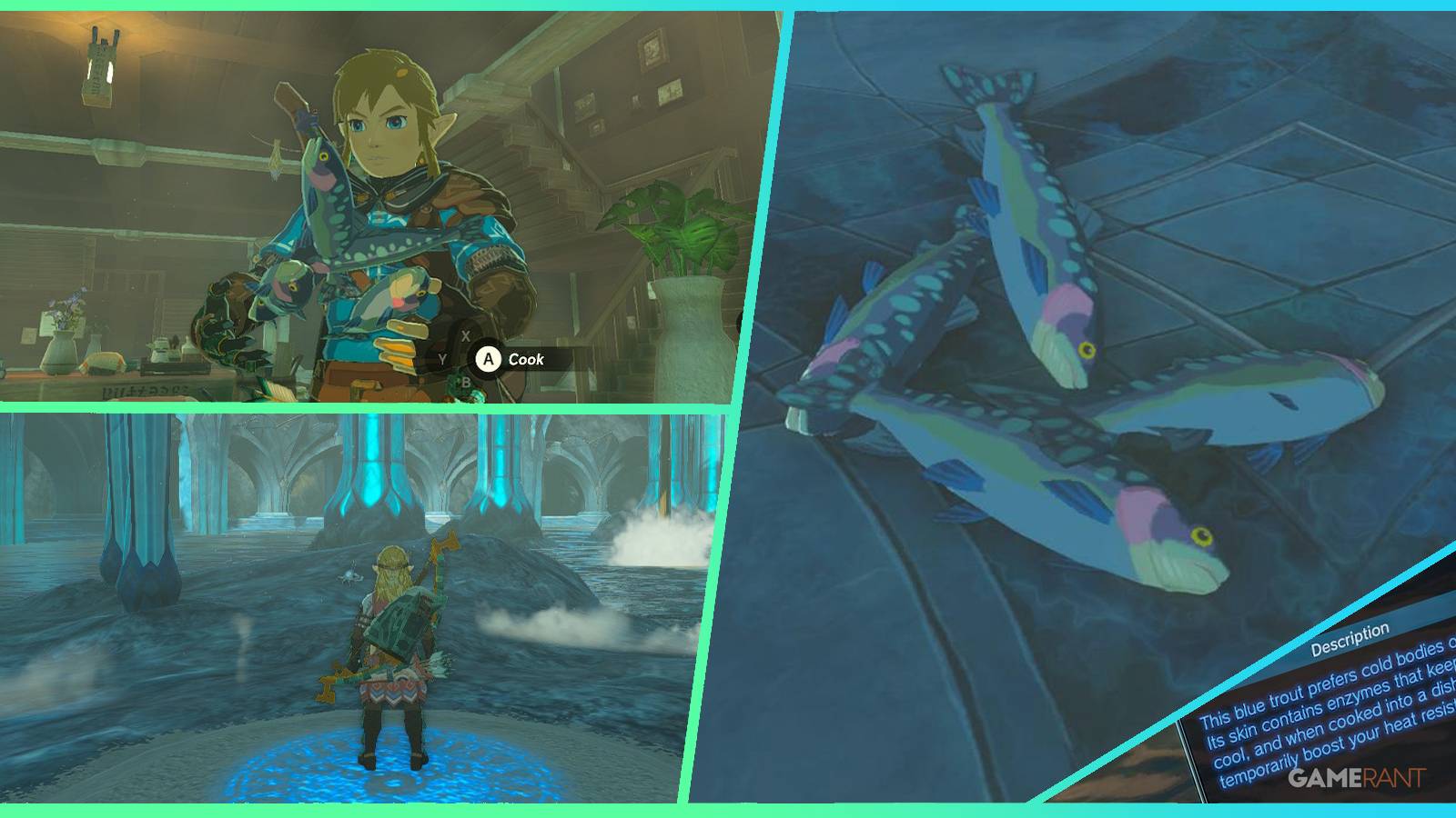 loz totk chillfin trout feature