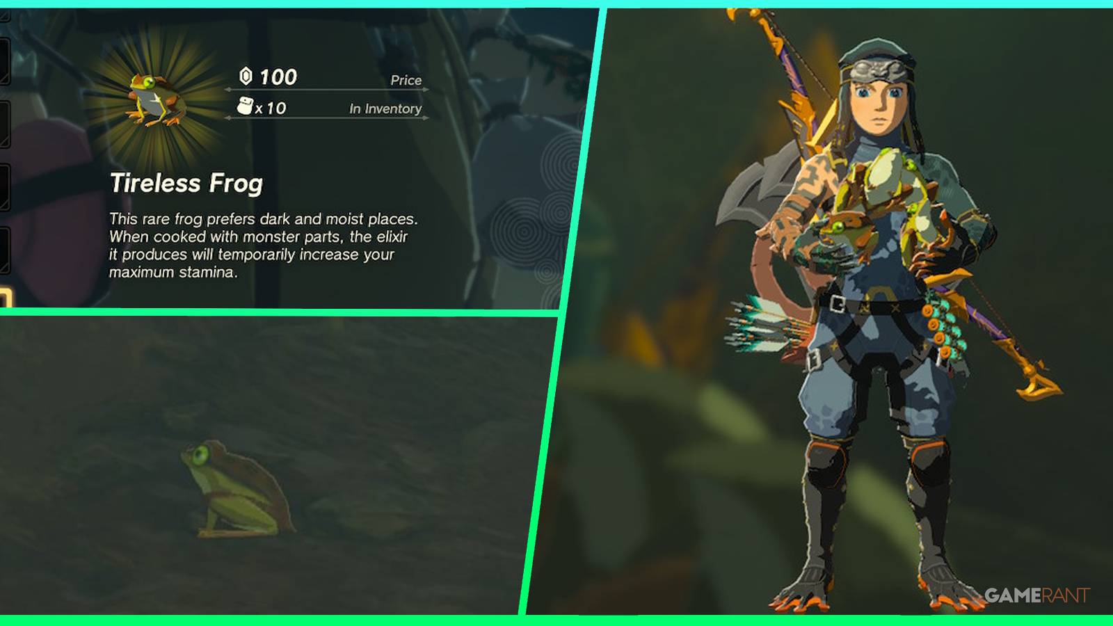 loz totk tireless frogs feature