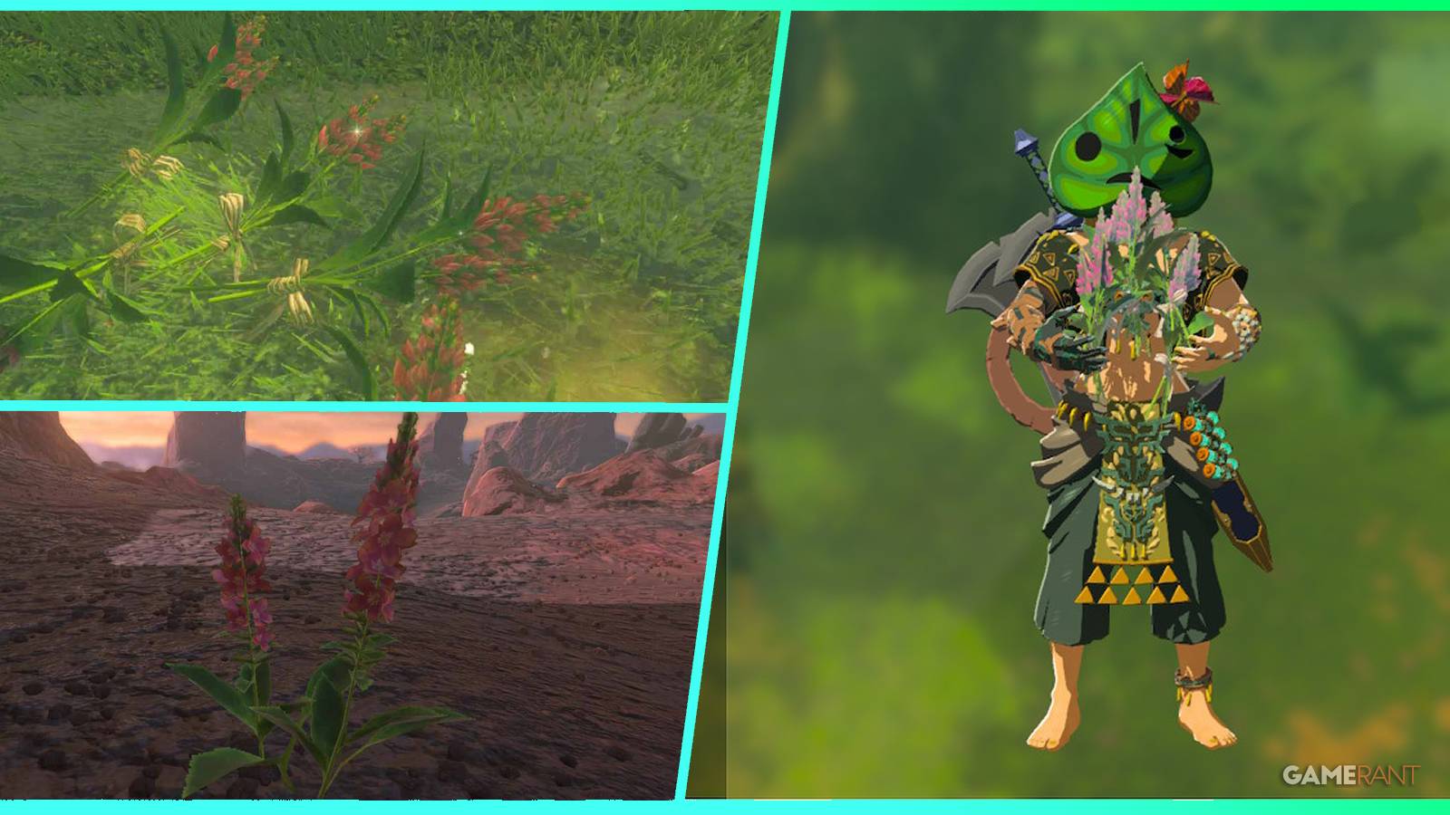 loz totk warm safflina feature