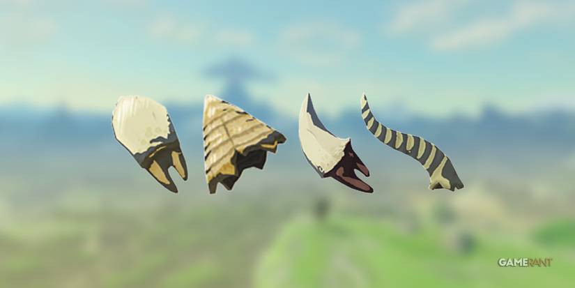 Common monster parts including Bokoblin and Moblin horns and fangs