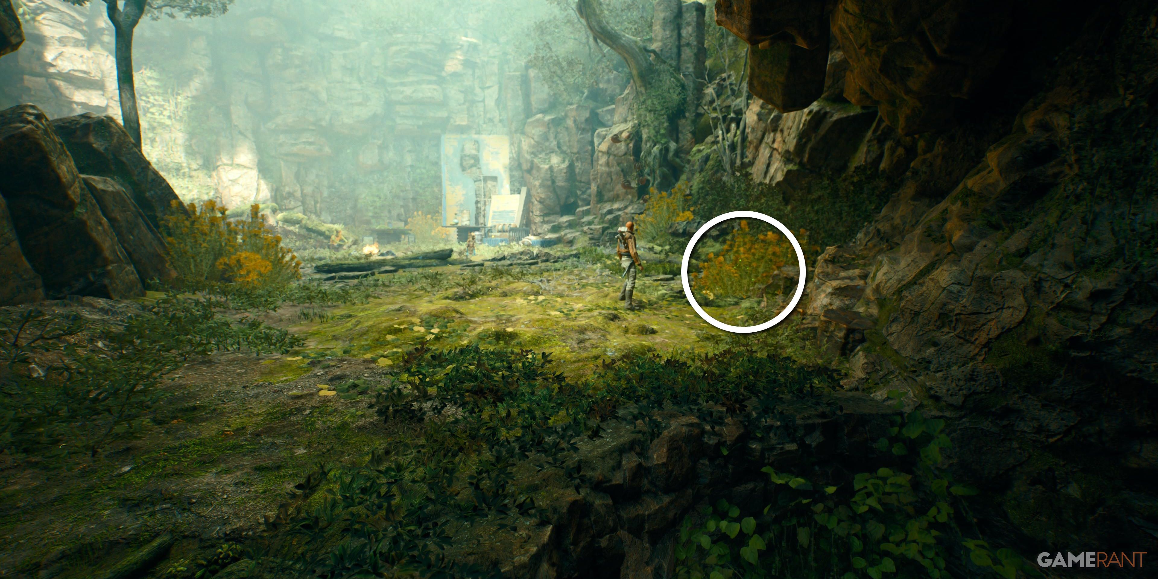 Star Wars Jedi Survivor All Koboh Seed Pods Basalt Forest