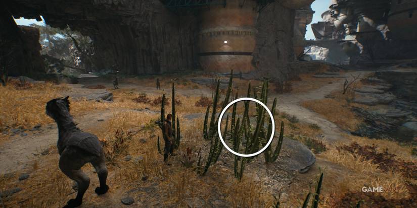 star wars jedi survivor bygone settlement seed pod 1