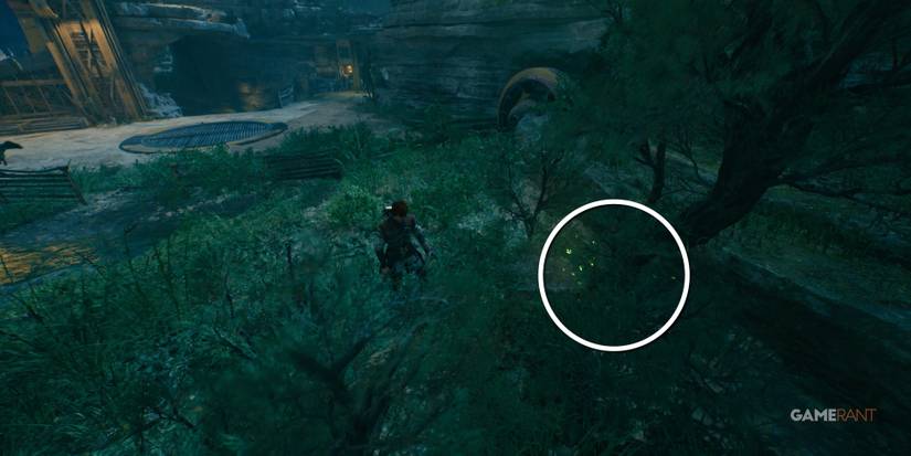 star wars jedi survivor harvest ridge seed pod 2