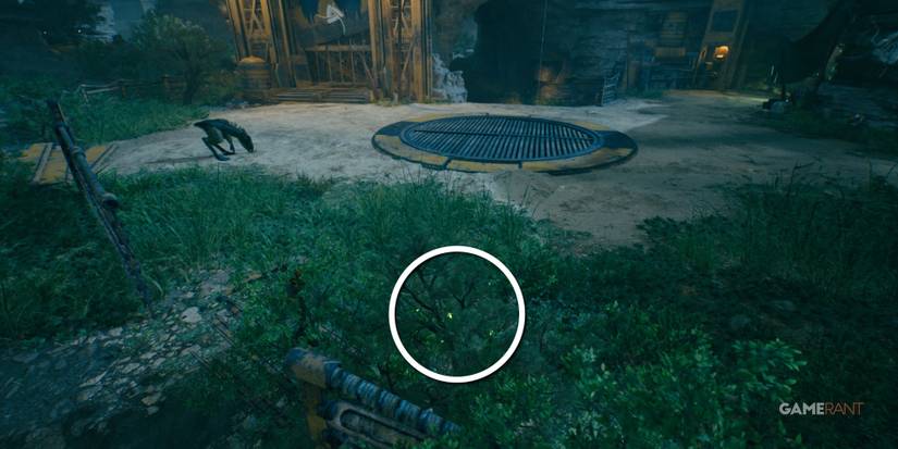 star wars jedi survivor harvest ridge seed pod 4