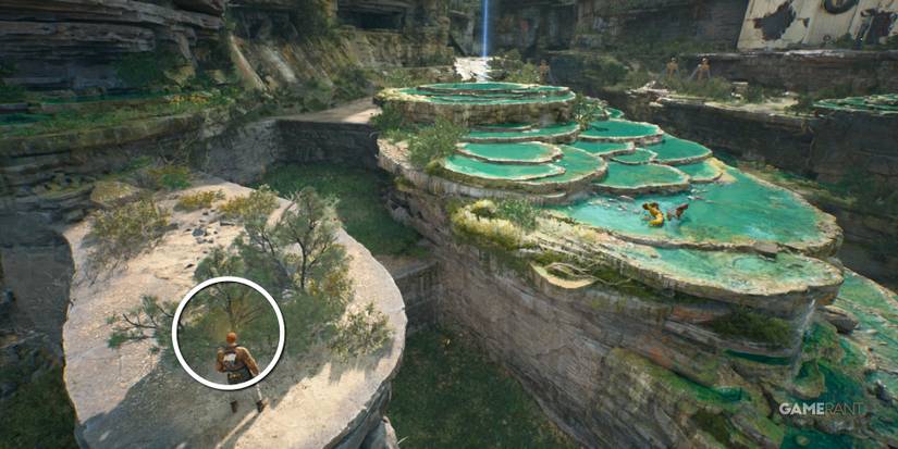 star wars jedi survivor swindler's wash seed pod 3