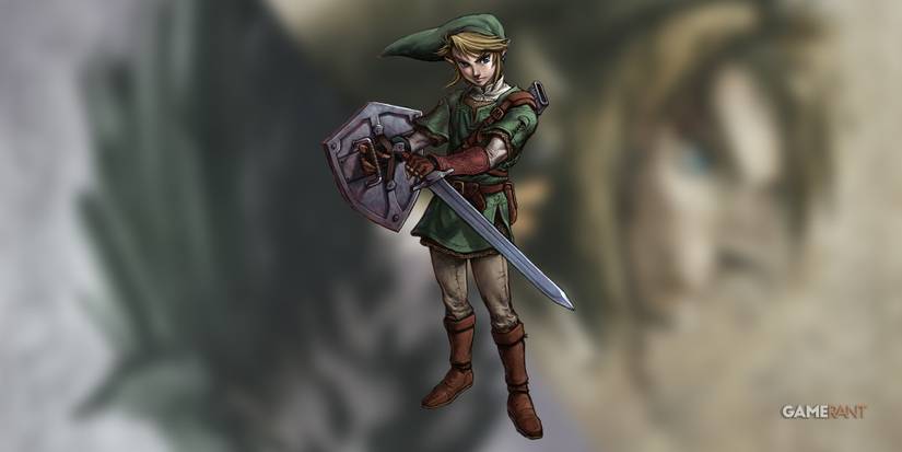 Twilight Princess Link