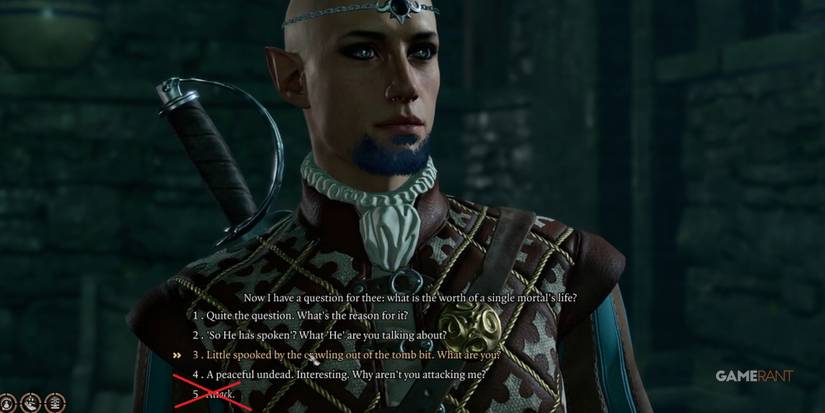 Baldur's Gate 3 Do Not Attack Withers