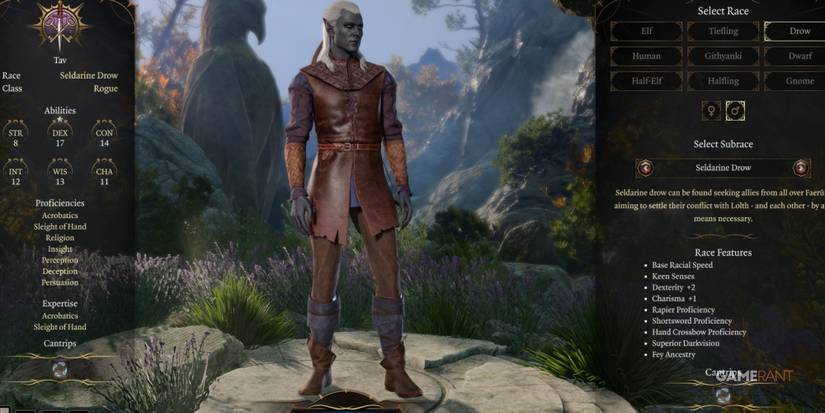 Baldur's Gate 3 Drow Rogue In Character Creation