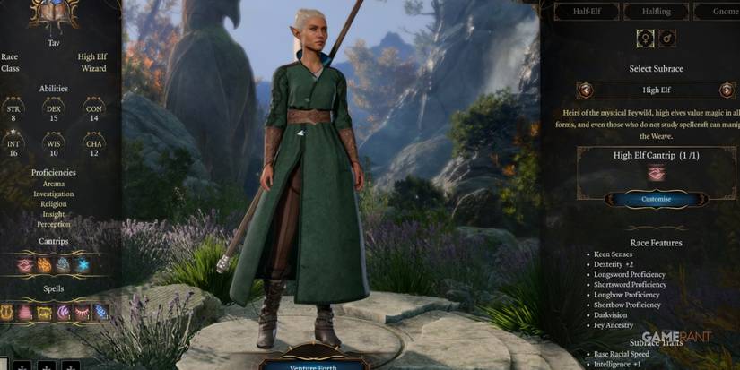 Baldur's Gate 3 High Elf Wizard In Character Creation