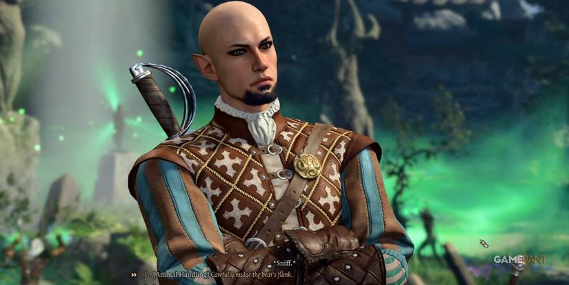 Baldur's Gate 3 Making Tuffet Move With Animal Handling