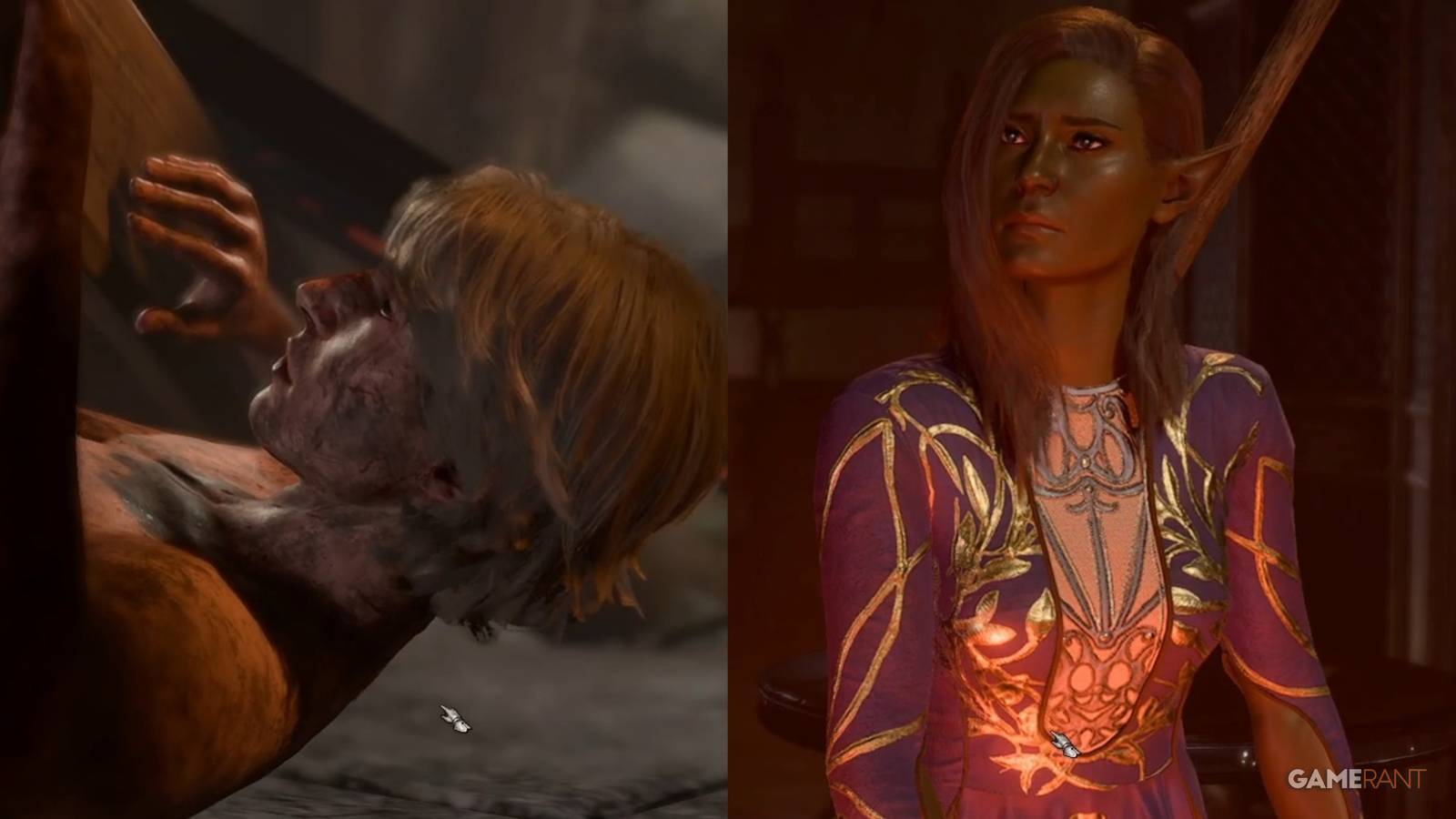 Baldur's Gate 3 Saving People From The Fire Collage