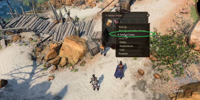 Baldur's Gate 3 Sending Supplies Directly To Camp