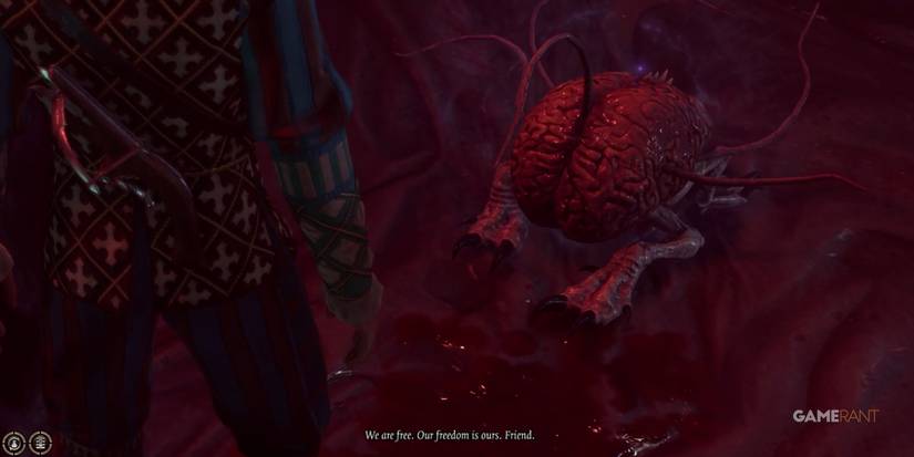 Baldur's Gate 3 Setting The Brain Free