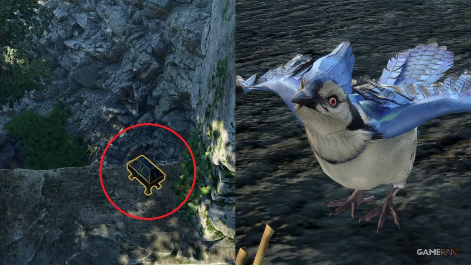 Baldur's Gate 3 Shiny Chest Druid Grove Collage