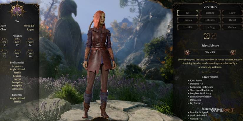 Baldur's Gate 3 Wood Elf Rogue In Character Creation