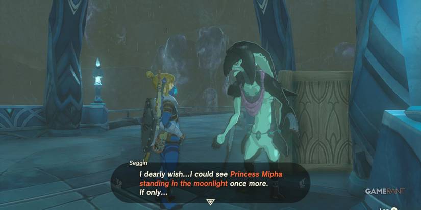 loz totk seggin the moonlit princess side quest