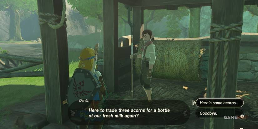 loz totk dantz hateno village