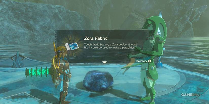 loz totk zora fabric paraglider