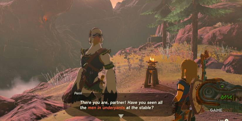 loz totk for our princess side quest penn